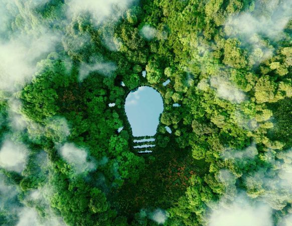 Aerial view of a lush green forest with a lightbulb-shaped clearing, symbolizing sustainability and innovation in flexible packaging.
