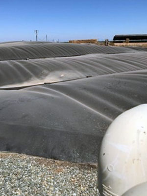Agricultural Wastewater Positive Pressure Digester Cover